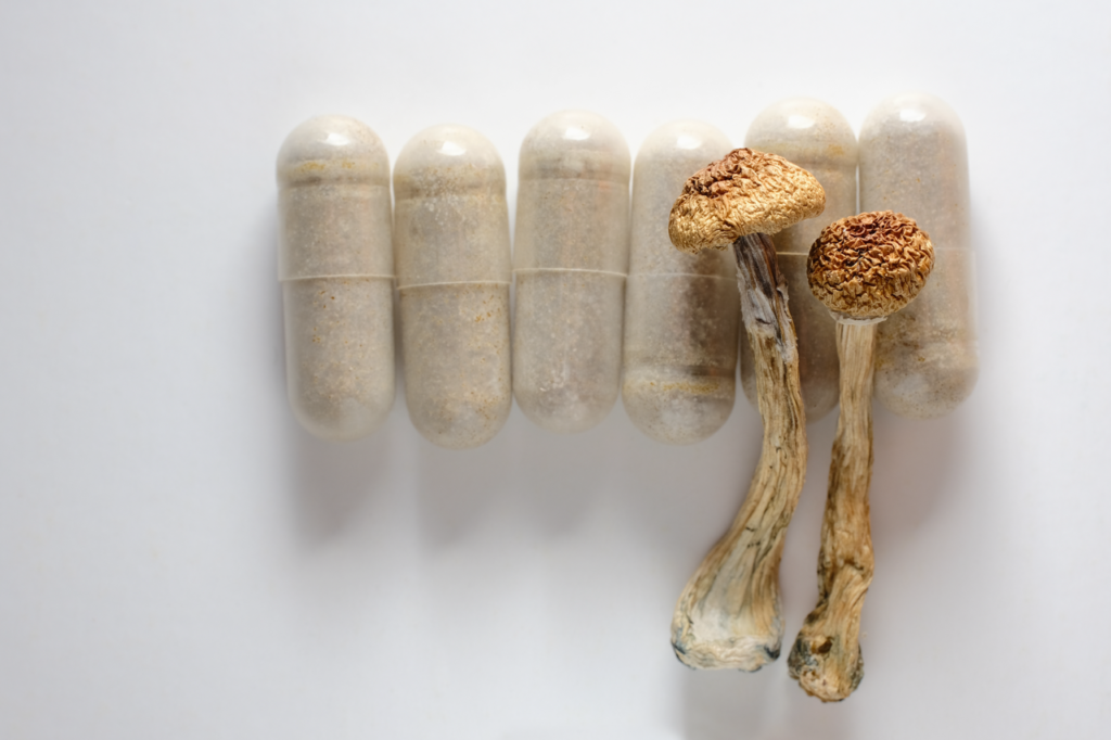 psilocybin capsules and mushrooms psychedelic therapy